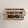 Storied Home Mango Wood and Glass Display Box with Lid, Clear - 3 of 4