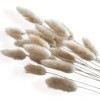 Alilang Decorative Tall Dried Grass Bouquet for Home Decoration and Event Centerpieces, 17.5 Inches - Beige - 2 of 4