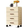 Garvee MilleLoom 4-Tier Plastic Chest of Drawers with 360¡ã Swivel Wheels Portable Storage Cabinet - 2 of 4