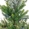 48" Prelit LED Cedar and Evergreen Porch Bush Warm White Lights - National Tree Company - 3 of 4