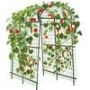 7.5FT Extra Tall Garden Arch Trellis, Steel Arbor for Climbing Plants, Vegetables, Flowers, Outdoor Pergola or Event Decoration - 3 of 4