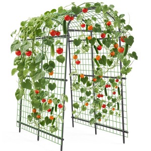 Garden Arch Trellis, Polyethylene-Coated Steel Arbor for Climbing Plants, Vegetables, Flowers, Outdoor Pergola or Event Decoration - 1 of 4