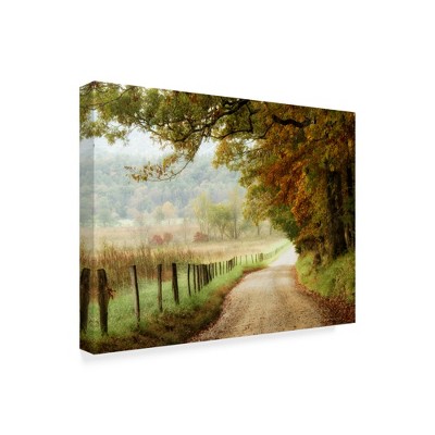 Trademark Fine Art -Danny Head 'Autumn On A Country Road' Canvas Art