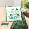 The Lakeside Collection St. Patrick's Day Embroidered Decorative Pillow - Lucky 18" Square - 2 of 2