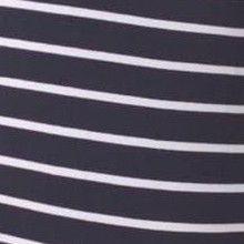 zebra black striped
