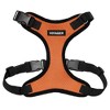 Voyager Step-In Lock Adjustable Dog & Cat Harness and 5ft Leash Combo - 2 of 4