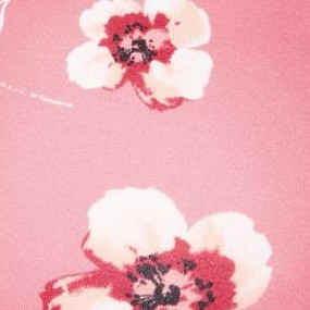 peach cream poppy