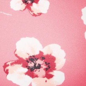 peach cream poppy