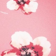 peach cream poppy