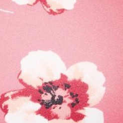 peach cream poppy