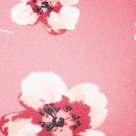 peach cream poppy