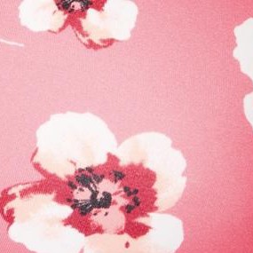 peach cream poppy