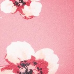 peach cream poppy