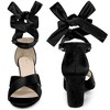 BLISSFUL STEP Women's Cross Strap Chunky Heel Lace Up Heeled Sandals - 2 of 3