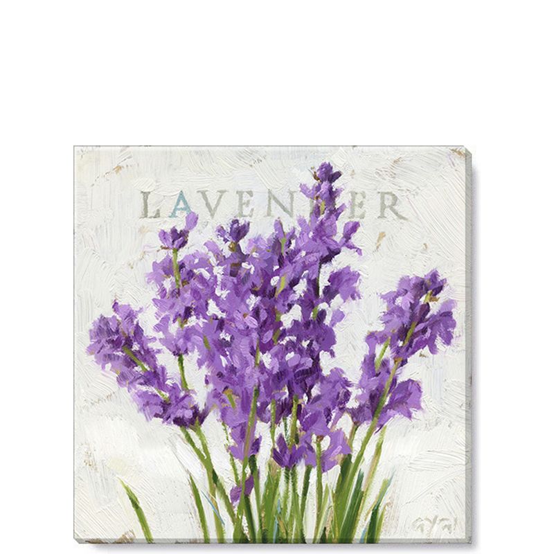 Sullivans Darren Gygi Lavender Canvas, Museum Quality Giclee Print, Gallery Wrapped, Handcrafted in USA, 1 of 13
