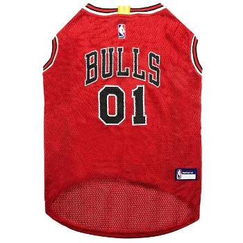 Nba Chicago Bulls 10 Pets Basketball Mesh Jersey : Target