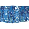 Golden Road Point the Way IPA Beer - 6pk/12 fl oz Cans - 2 of 3