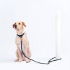 AWOO City Multifunctional Recycled Dog Leash - 5ft - 2 of 4