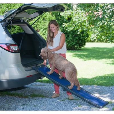 Pet Gear Bi-Fold Black and Blue Dog Ramp