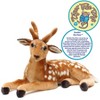 Dorbin The Deer - 21 Inch Stuffed Animal Plush - By Viahart - 3 of 4