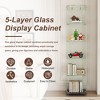 ORRD 5-Tier Glass Display Cabinet with Dynamic LED Lighting, Tempered Glass Showcase with Single Door for Home & Office - 3 of 4