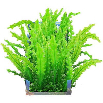 Penn-Plax Foregrounder Aqua-Scaping Bunch Plants Large Wavy Edge