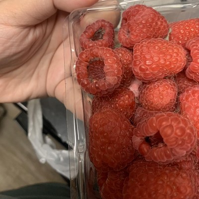 Guest review image 2 of 4, zoom in