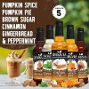 Syruvia Variety Pack - Pumpkin Spice, Pumpkin Pie, Brown Sugar Cinnamon, Gingerbread & Peppermint Syrup 25.4 Fl oz (5-Pack) - 2 of 4