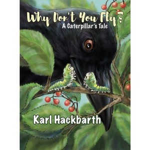 Why Don't You Fly? - by  Karl Hackbarth (Hardcover) - 1 of 1