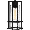 Quoizel Lighting Damien 1 - Light Pendant in  Earth Black - 3 of 3