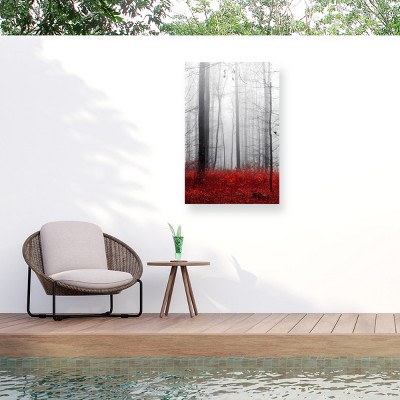 Trademark Fine Art Philippe Sainte-laudy Little Red Carpet Outdoor