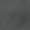 charcoal