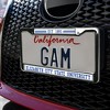 Elizabeth City State University Full Size Standard License Plate Metal Frame - 3 of 4