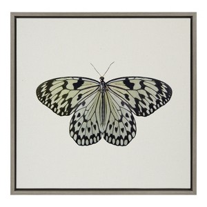 Kate and Laurel Sylvie Two Tone Butterfly Framed Canvas by Robert Cadloff of Bomobob, 22x22, Gray - 1 of 4