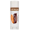 Palmers Coconut Oil Lip Balm  0.15 Oz - 3 of 3