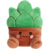 Aurora® Palm Pals™ Botanical Duo 5" Inch Plush Set, Terra Potted Plant & Gigi Succulent - 3 of 4
