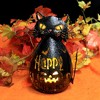 Direct Designs International 10.0 Inch Halloween Figure W Led Light Cat Witch Luminary Animal Statues - 3 of 3