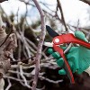 Nevlers Anvil Garden Shear Pruners - Stainless Steel Blades - 2 of 4