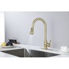 Pull-Out Sprayer Kitchen Faucet?for Enhanced Utility - image 4 of 4