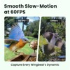Birdfy Cedar D Smart Bird Feeder - Fun & Educational 1080P Birdwatching, AI Recognition, 60FPS Slow-Motion, Solar-Powered - 3 of 4