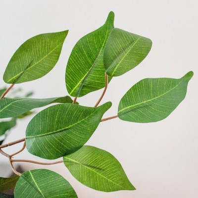 63" Silk Green Potted Outdoor Ficus Floor Plant