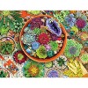 Springbok Succulent Garden Jigsaw Puzzle - 500pc - image 2 of 4