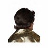 California Costumes 70's Feathered & Flashy Adult Wig - 3 of 4