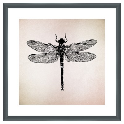 18" x 18" Matted to 2" Vintage Insects II Picture Framed Black - PTM Images