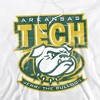 Arkansas Tech University Official Distressed Primary Adult Pull-Over Hoodie - 2 of 4