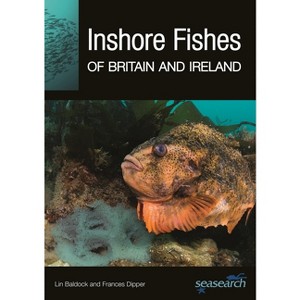 Inshore Fishes of Britain and Ireland - by  Lin Baldock & Frances Dipper (Paperback) - 1 of 1