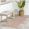 Nuloom Wynn Braided Indoor/Outdoor Area Rug - 2 of 4