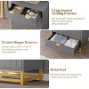 5 Drawer Dresser for Bedroom, Chest of Drawers with Metal Base, Modern Dresser Chest Cabinet Organizer for Living Room, Hallway, Closet - 3 of 4