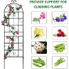 2 Pack Metal Garden Trellis, Garden Trellis for Climbing Plants Easy Assembly Flower Support for Vines Rose Grape Cucumber Beans Peas - 4 of 4