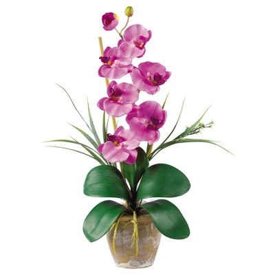 Dark Pink Silk Phalaenopsis Orchid in Ceramic Pot